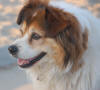 zDSC_4059.JPG (579180 bytes)