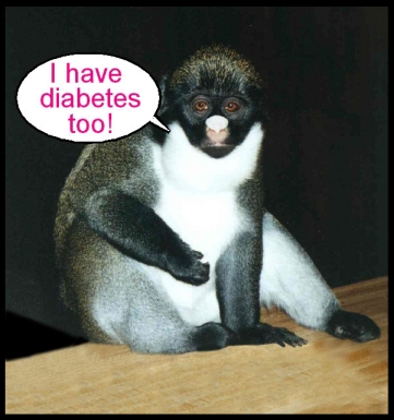 i_have_diabetes_too.jpg (225298 bytes)