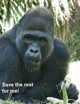 posters907
