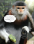 posters303